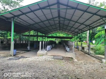 Jual Tanah dan Kandang Sapi di Area Balearjosari Kota Malang