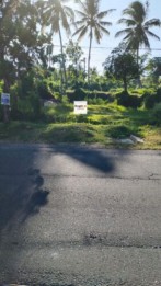 Kontrak Min 5 Tahun Tanah 6 Are Hadap Barat Rangdu Seririt Buleleng Bali