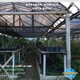 RUMAH BARU ADA KEBUN HARGA BAGUS DI BUMIAJI KOTA BATU.