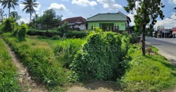 Sewa Min 5 Tahun Tanah 6 Are Hadap Barat Rangdu Seririt Buleleng Bali