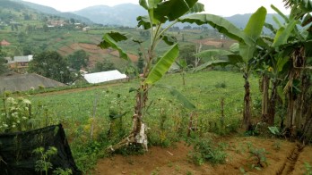 TANAH 4HA PUNCAK DUA DEKAT KOTA BUNGA CIPANAS