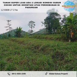 TANAH KEBUN SUBUR HARGA RAMAH DI TUTUR WETAN KABUPATEN PASURUAN.