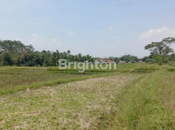 TANAH LAHAN 5HA IJIN PERUMAHAN CIBEBER LEUWILIANG