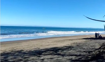 TANAH LOS PANTAI JEMBRANA BALI