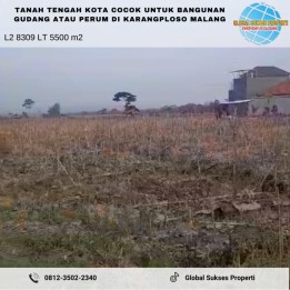 TANAH SAWAH SETRATEGIS HARGA ISTIMEWA DI KARANGPLOSO MALANG.