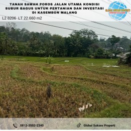 TANAH SAWAH SUBUR HARGA BAGUS DI KASEMBON KABUPATEN MALANG.