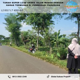 TANAH SAWAH SUBUR HARGA BAIK DI PURWODADI KA UOATEN PASURUAN.