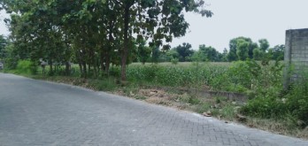 Tanah 4960 m2 di Desa Tlogosadang Paciran Lamongan GMK02773