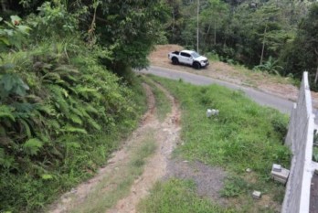 Tanah 87 Are Apuan Baturiti Tabanan View Sawah Dekat Jatiluwih