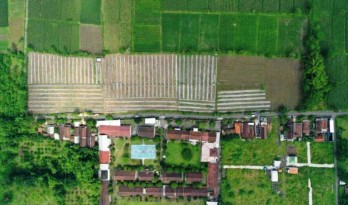 Tanah Dijual di Dusun Besuk Tempeh Lumajang