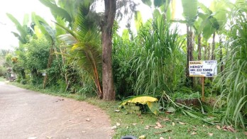 Tanah Dijual di Gianyar Bali
