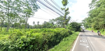 Tanah Dijual di Raya Tlogowaru Malang