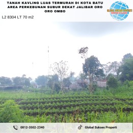 Tanah Kavling Luas Area Perkebunan View Gunung Di Jalibar Batu