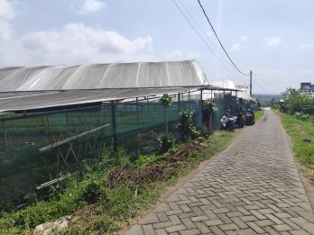 Tanah Murah Pemandangan Terbaik Sejuk Segar Untuk Kebun Sayur Di Batu