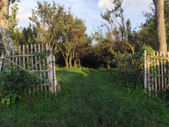 Tanah Termurah Dekat Pusat Kota Batu View Gunung Cocok Utk Pekebunan