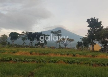 Tanah View Bagus di Desa Maron Pacet Mojokerto GMK02655