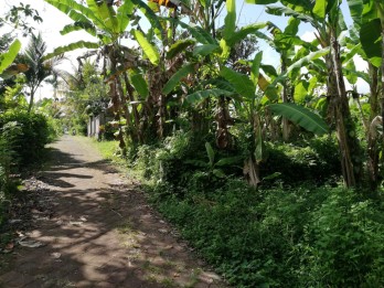 Tanah luas 210m2, view sawah, SHM, Carangsari, Badung, Bali