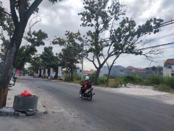 Tanah luas cocok untuk perum dan bagus untuk usaha di sukomulyo lamongan