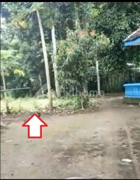 Tanah murah area pemukiman dekat pesantren di Gondanglegi Malang