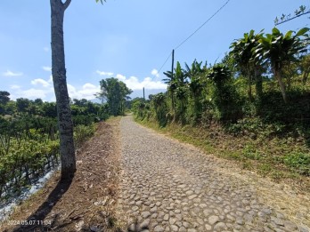 Tanah perkebunan Subur dan luas di kota Batu