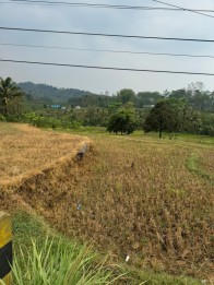 Tanah sawah luas poros jalan bagus untuk investasi di Kasembon malang