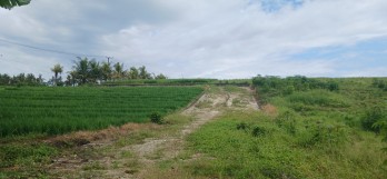 Tanah view sawah di Kerambitan Tabanan Bali