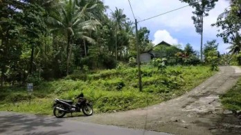 jual tanah di pengasih dekat kampus uny wates kulon progo yogyakarta